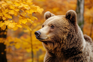 Fototapeta premium An animal in an autumn forest created with generative AI technology