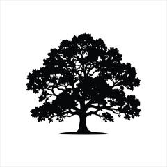 Fototapeta premium Elegant Oak Tree Silhouette Vector - Minimalist Black and White Nature Design