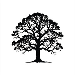 Elegant Oak Tree Silhouette Vector - Minimalist Black and White Nature Design