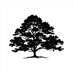 Fototapeta premium Elegant Oak Tree Silhouette Vector - Minimalist Black and White Nature Design