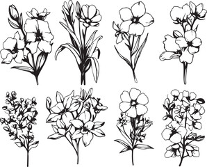 Set Flowers. Hand drawn vector illustration	