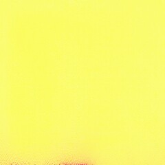 Plain yellow colored square background with copy space for text or image, Best suitable for online Ads, poster, banner, sale, card, celebrations and various design works