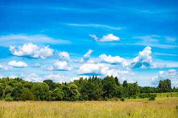 Obraz premium sky with clouds and field background panorama