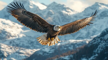 Obraz premium Powerful eagle flying high above majestic mountain peaks wallpaper
