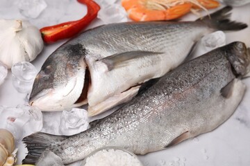 Fresh raw sea food, ice cubes and products on white marble table, closeup