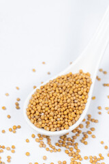 Mustard seeds in a spoon, white background, natural organic seasoning
