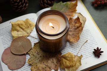 Burning candle, dry leaves and open book on green background, closeup. Autumn atmosphere
