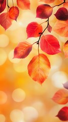 Autumn background with red and orange leaves and bokeh light effect. Autumn background with blurred nature scene