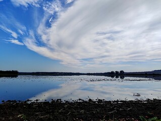 Flooded field in Czech Republic.  Large amount of water. Disaster in Czech. Climate change. Reflection on water level. Cloudy weather after heavy rain. Blue sky in autumn.