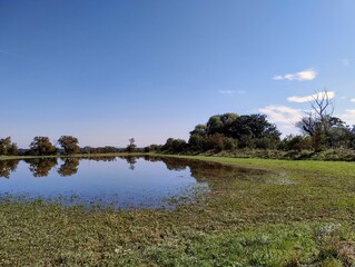 Flooded meadow in Czech Republic.  Large amount of water. Disaster in Czech. Climate change. Reflection on water level. Clear blue sky after heavy rain. Weather in autumn. Grass and mud.