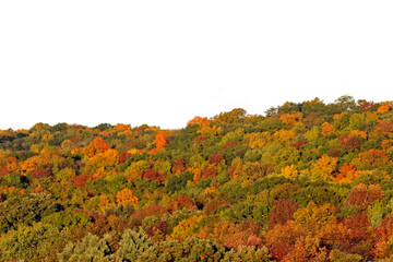 Fall Colors Distant Hillside Colorful Many blurred leaves.