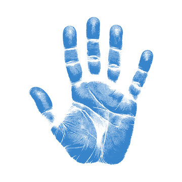 recommend clip art: human handprint vector , The handprint should look realistic vector