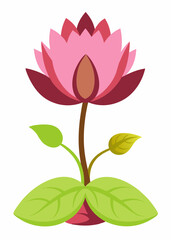 Lotus Flower vector art illustration