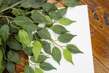 white sheet of paper on wooden background with leaves