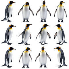 Fototapeta premium Group of Penguins Standing on Transparent Background
