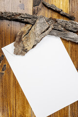 white sheet on wooden background with bark