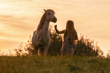 Romantic horsemanship portrait: A young woman and her icelandic horses interacting together in...