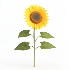 Fototapeta premium 3D Isolated Sunflower on White Background