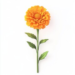 Isolated Marigold Flower Illustration on White Background