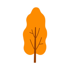 Autumn tree isolated on white background.