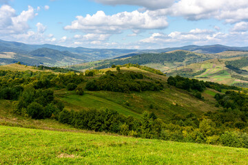Obraz premium mountainous countryside landscape in autumn. green fields and trees on the hill. sunny day. view in to the distant valley. beautiful outdoor scenery of carpathians. rural region of ukraine