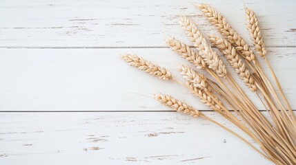 Wheat stalks lay on a white wooden surface. This symbolizes the Jewish holiday of Shavuot.