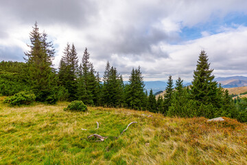 countryside autumn landscape with valley behind the forest on the grassy hill. carpathian mountain...