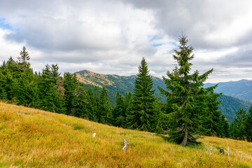 countryside autumn landscape with valley behind the forest on the grassy hill. carpathian mountain...
