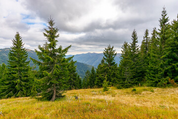 countryside autumn landscape with valley behind the forest on the grassy hill. carpathian mountain...