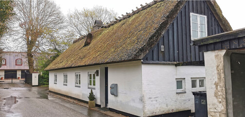 Old Danish traditional village house with thatched roof