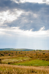countryside of ukraine. cloudy afternoon. autumn landscape. grassy field and rolling hills. rural scenery. abandoned vineyard in the distance