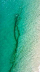 Aerial view of the beautiful turquoise sea with algae in Comporta, Portugal