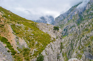 View of the fascinating variety of the mountains of the Peaks of Europe in the Parque Nacional Picos de Europa, Cabrales, Asturias, Spain, September 10, 2024