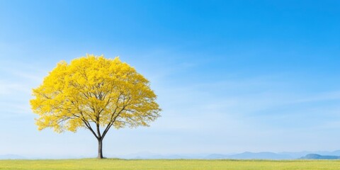 Large yellow-leafed tree in a rural area during autumn