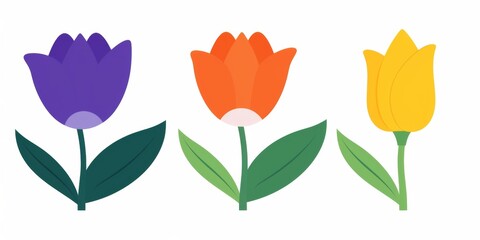 Three Colorful Flowers on a Clean White Background