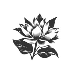 black and white flower