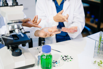 Fototapeta premium Food scientists in lab coats, testing samples, and analyzing food safety and quality in a modern laboratory