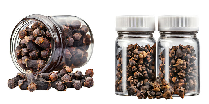 Clove Inhaler Aromatic Spice Respiratory Aid Isolated on White and Transparent Background
