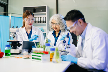 Fototapeta premium Food scientists in lab coats, testing samples, and analyzing food safety and quality in a modern laboratory