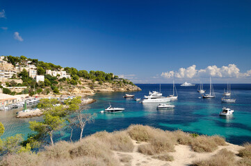 Fototapete bei efototapeten.de bestellen   