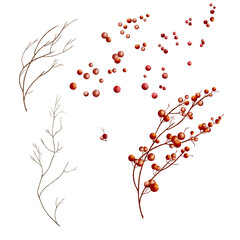 Red berries on graceful branches. Set of festive branches with berries, isolated on background. Watercolor illustration in digital style. For the theme of Christmas, New Year and greeting cards