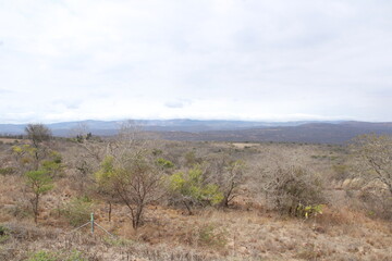 dry arid land with mountains in the background in Mpumalanga province South Africa