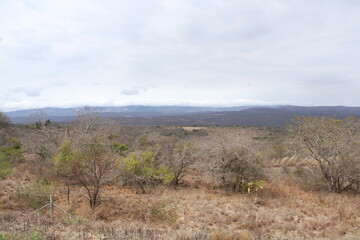 dry arid land with mountains in the background in Mpumalanga province South Africa