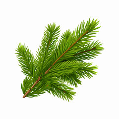A detailed vector illustration of a green spruce branch, ideal for winter and Christmas-themed projects. Isolated on a white background with scalable quality.