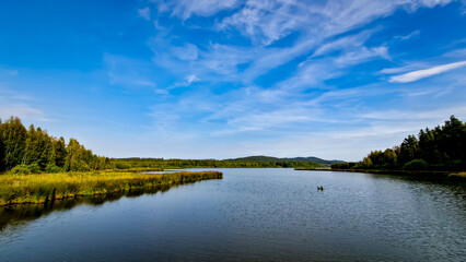 Scenic part of the educational trail Ol&scaron;ina in the &Scaron;umava region, with a wooden path winding through wetlands, meadows and trees. 
