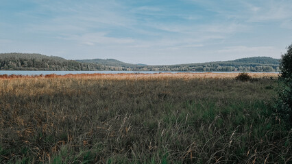 Scenic part of the educational trail Ol&scaron;ina in the &Scaron;umava region, with a wooden path winding through wetlands, meadows and trees. 
