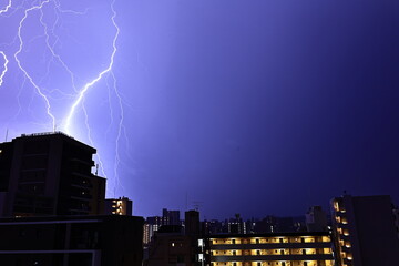 雷の落雷