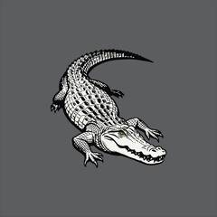 Crocodile vector illustration logo concept design