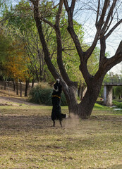 Primer plano de un lindo perro