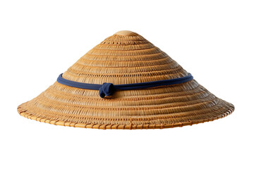 woven straw hat with wide brim
